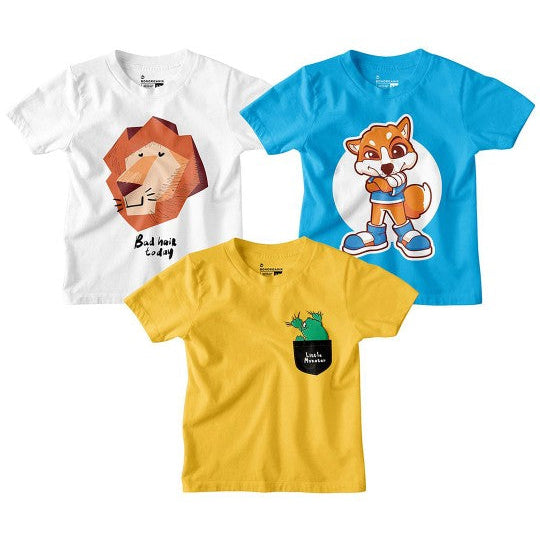 Boy Graphic Printed  Combo Tees