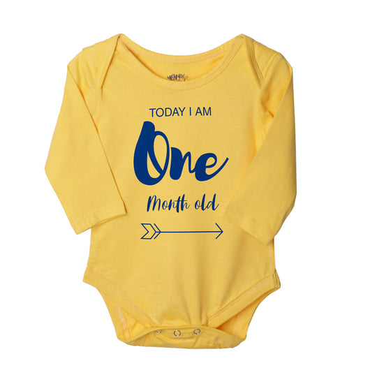 My First 12 Months, Set Of 12 Assorted Bodysuits For The Baby