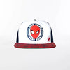 Boys Spiderman Flat Brim Cap