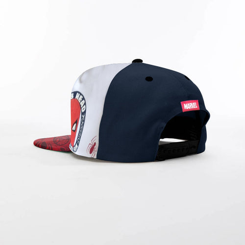 Boys Spiderman Flat Brim Cap