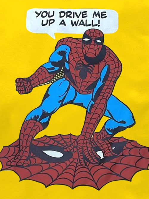 SpiderMan Full Sleeve Boys T-SHIRT