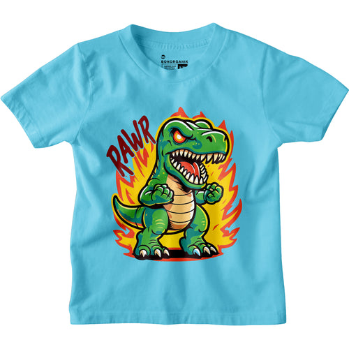 Boys Character Tshirt