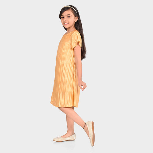 Girls Pleated Polyester Dress
