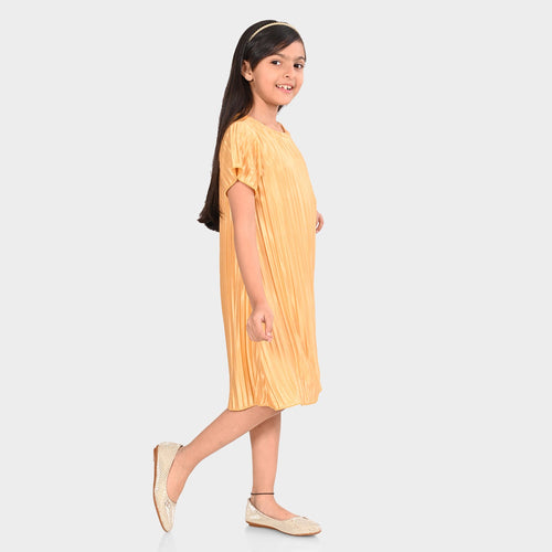 Girls Pleated Polyester Dress
