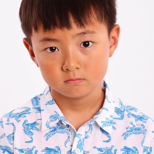 Boys Dinosaur Printed Shirt