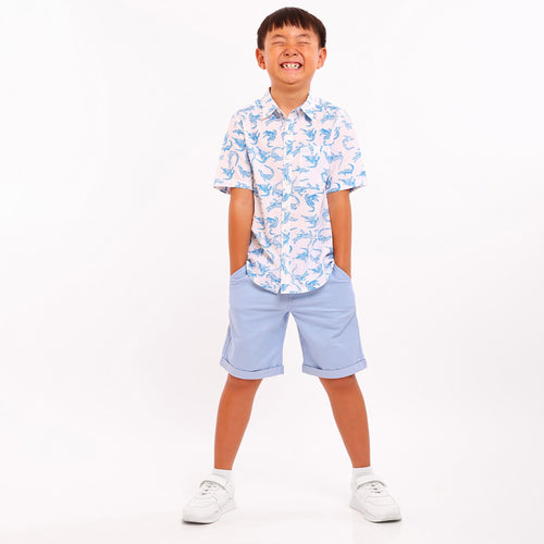 Boys Dinosaur Printed Shirt