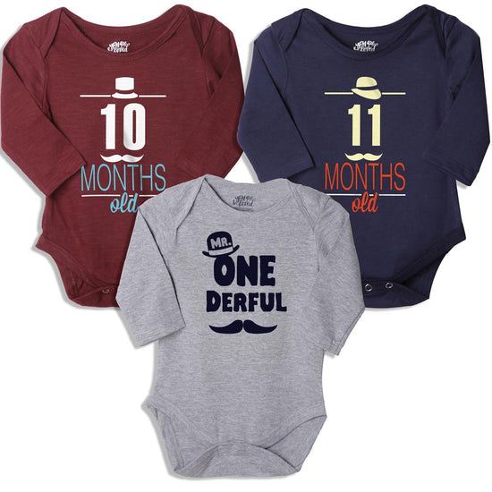 My 10th-12th Month, Set Of 3 Assorted Bodysuits For The Baby