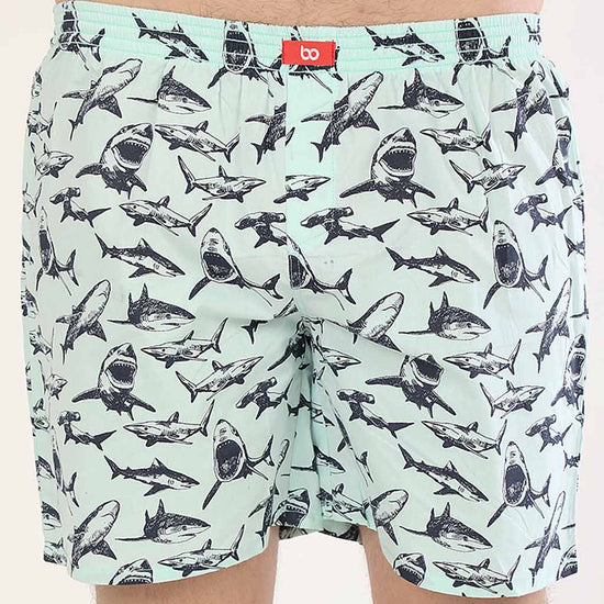 Sea Life, Matching Boxers For Dad And Son