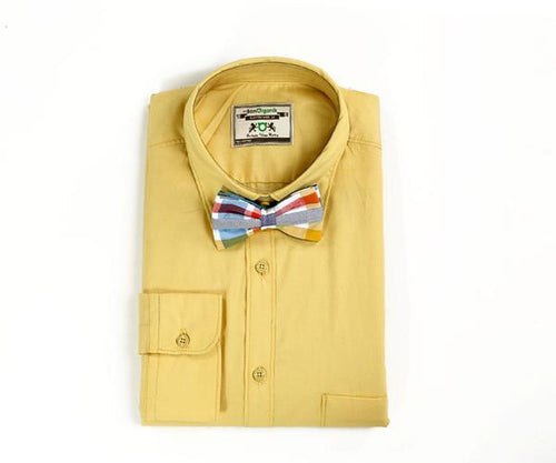 Yellow Full Sleeve Shirt With Bow