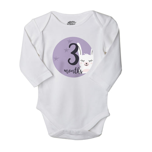 1-2-3, Set Of 3 Assorted Bodysuits For Baby.