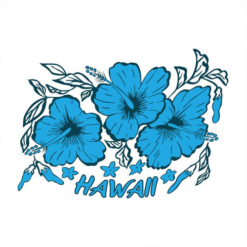 Hawaii Family Tees