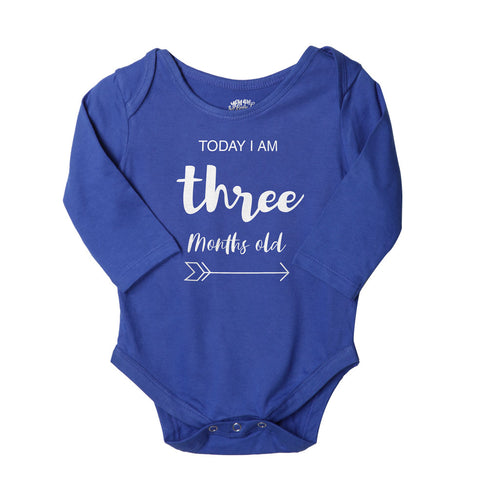 My First 12 Months, Set Of 12 Assorted Bodysuits For The Baby