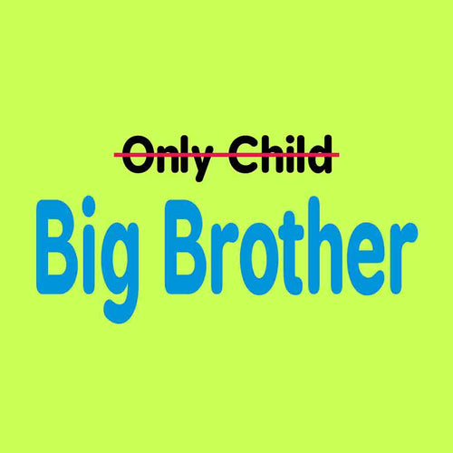 Big Brother Tee