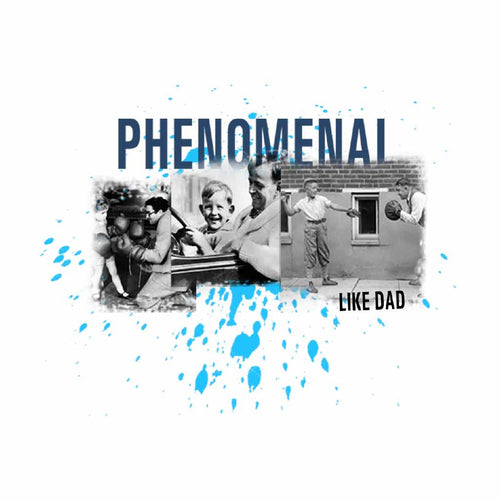Phenomenal Like Dad And Son Tshirt