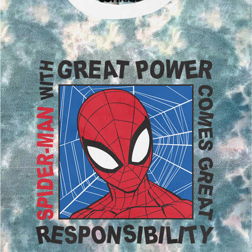 Spiderman Boys Grey Sweatshirt